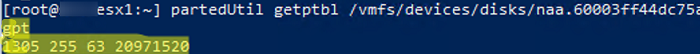 partedUtil getptbl get partition table