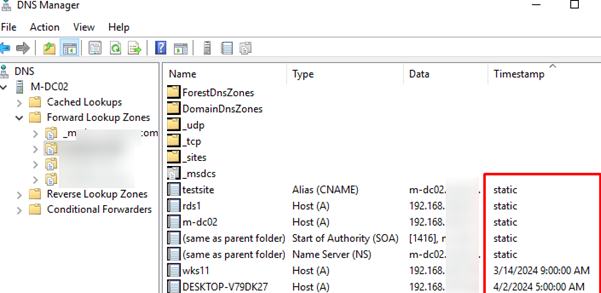 Static and dynamic (with timestamp) records in DNS zone on Windows Server