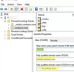 Create DNS record for IIS website