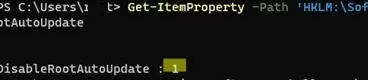 DisableRootAutoUpdate registry parameter