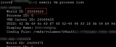 esxcli vm process list