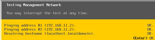 esxi test network with ping