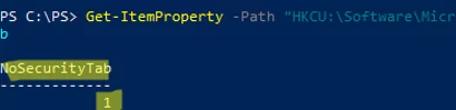 NoSecurityTab registry parameter