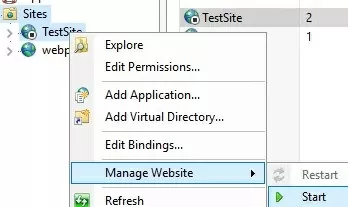 Running multiple websites on IIS