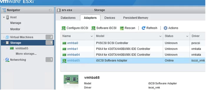 vmhba65 software iscsi adapter