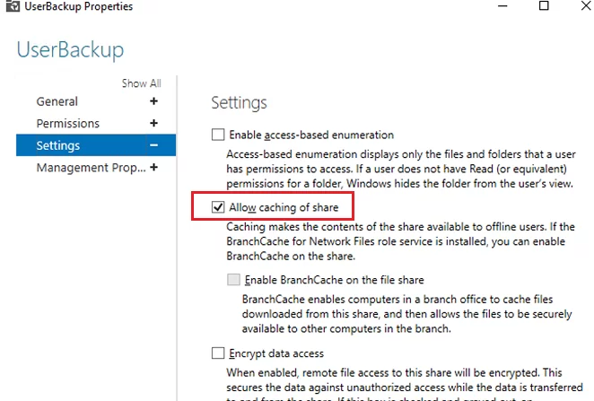 Windows Server - share properties - allow caching of share